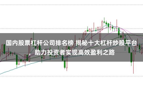 国内股票杠杆公司排名榜 揭秘十大杠杆炒股平台,助力投资者实现高效盈利之路