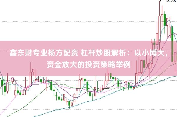 鑫东财专业杨方配资 杠杆炒股解析:以小博大,资金放大的投资策略举例
