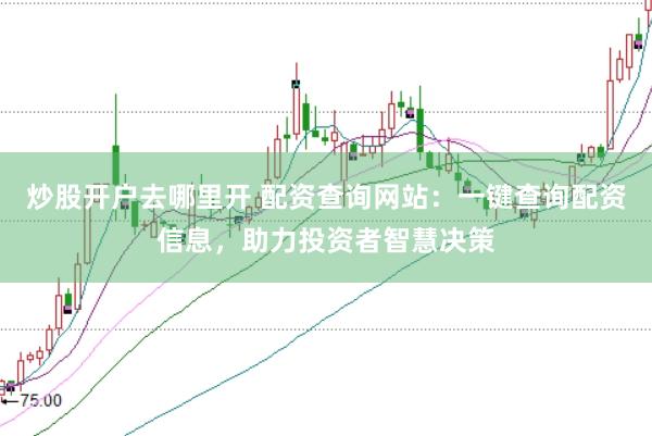 炒股开户去哪里开 配资查询网站：一键查询配资信息，助力投资者智慧决策