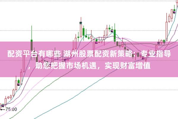 配资平台有哪些 湖州股票配资新策略:专业指导,助您把握市场机遇,实现财富增值