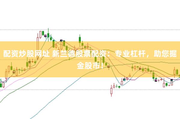 配资炒股网址 新兰德股票配资：专业杠杆，助您掘金股市！