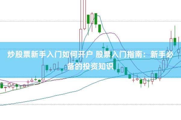 炒股票新手入门如何开户 股票入门指南:新手必备的投资知识
