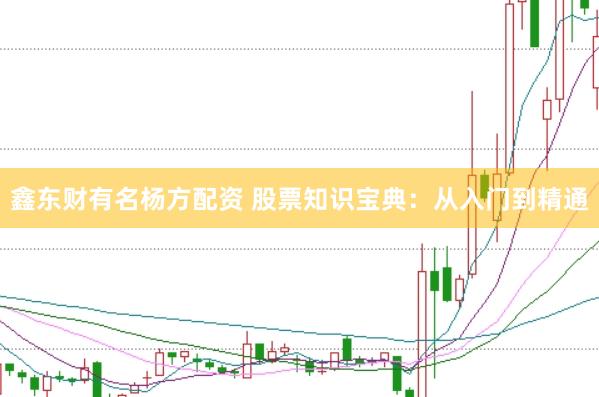 鑫东财有名杨方配资 股票知识宝典：从入门到精通