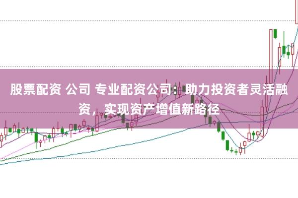 股票配资 公司 专业配资公司：助力投资者灵活融资，实现资产增值新路径