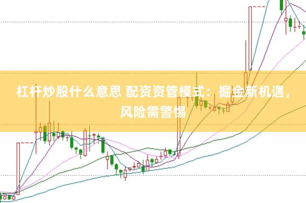 杠杆炒股什么意思 配资资管模式：掘金新机遇，风险需警惕