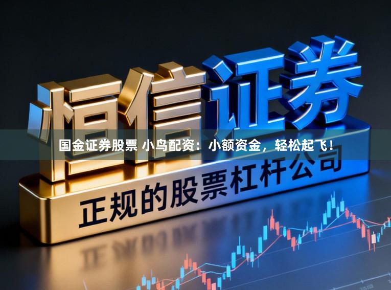 国金证券股票 小鸟配资：小额资金，轻松起飞！